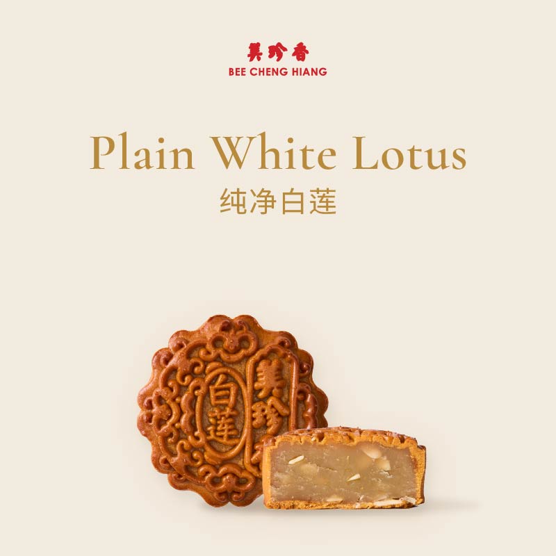Plain White Lotus 纯净白莲